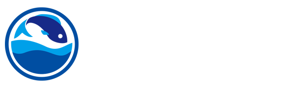 足球直播